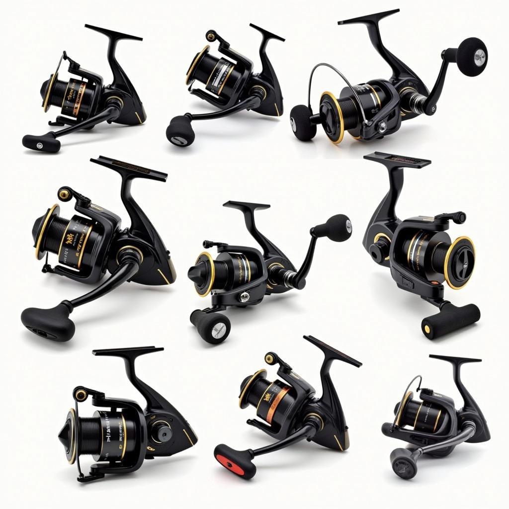 Different Fishing Reels