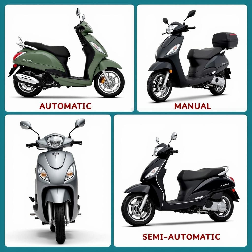 Various types of scooters available for rent