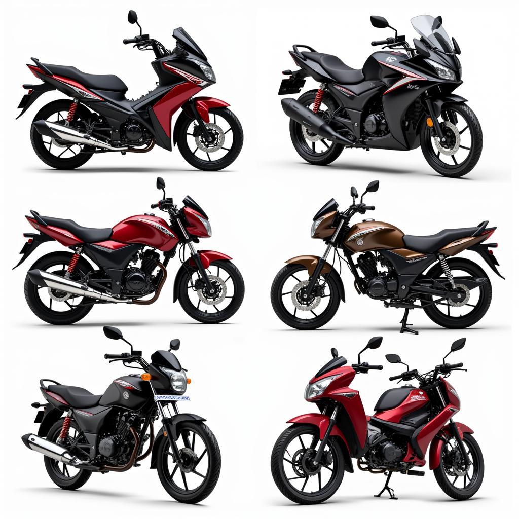 Các mẫu xe máy Honda phổ biến 2022