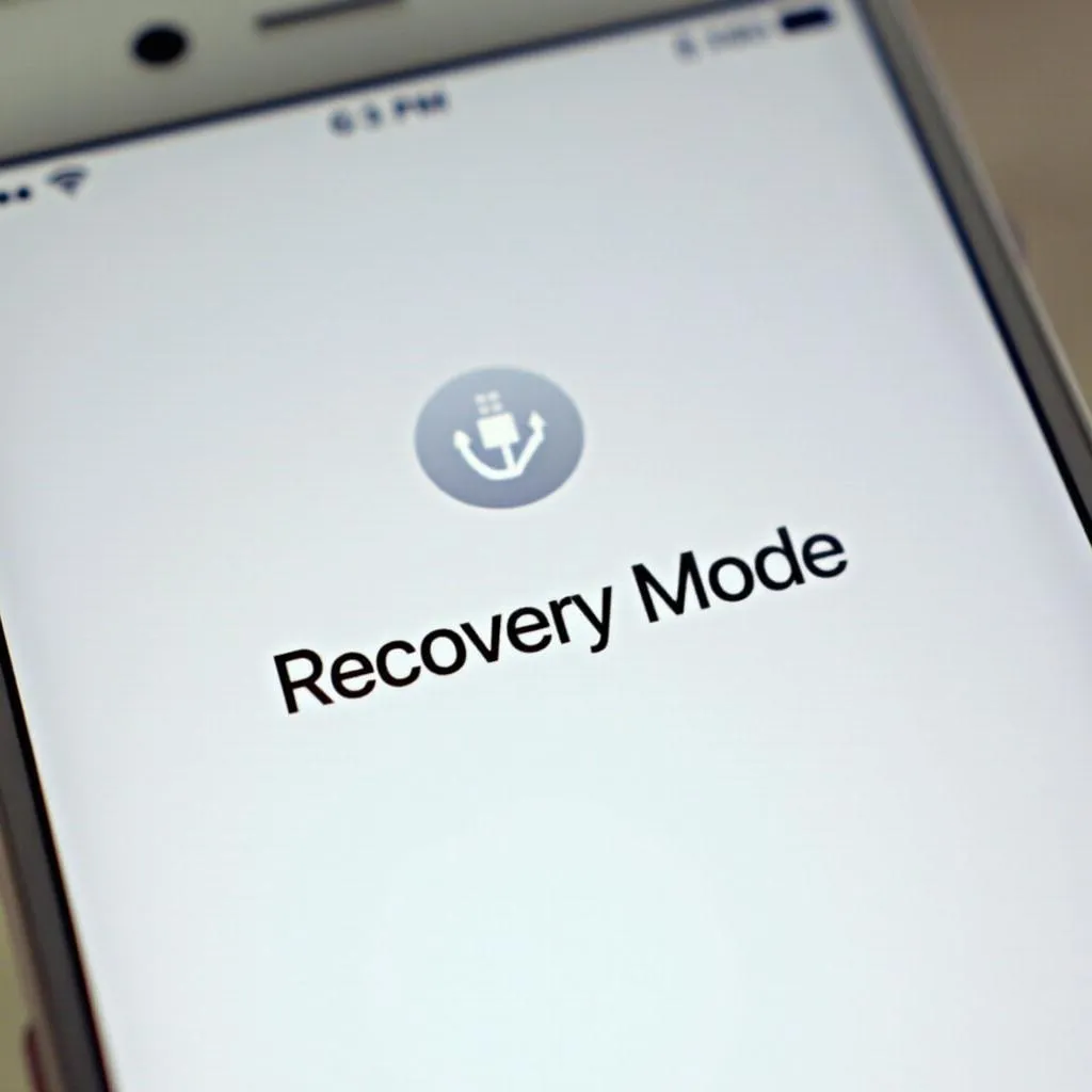 Hình ảnh minh họa cách đưa iPhone vào chế độ Recovery Mode