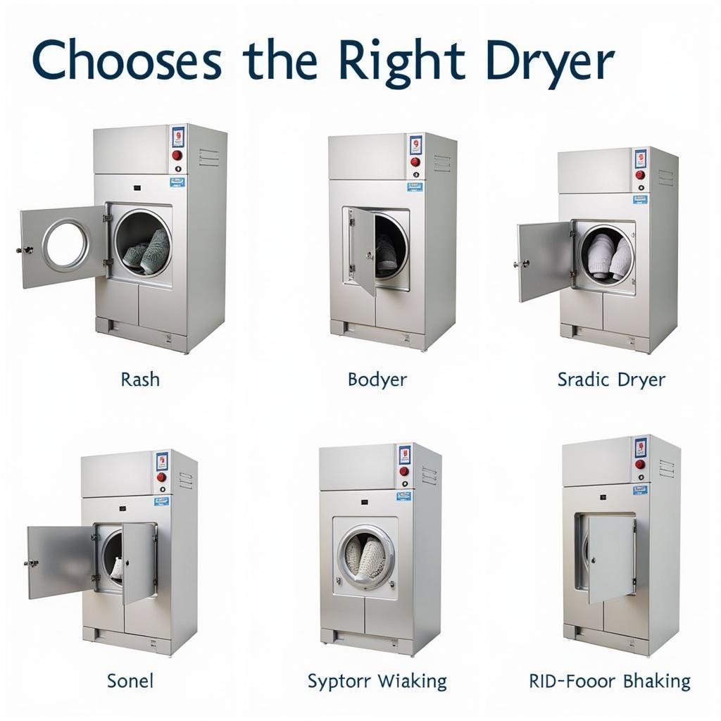 Choosing the Right Shoe Dryer