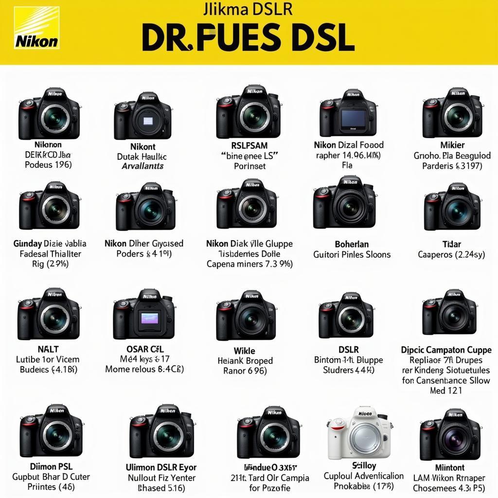 Tổng hợp các dòng máy ảnh Nikon DSLR